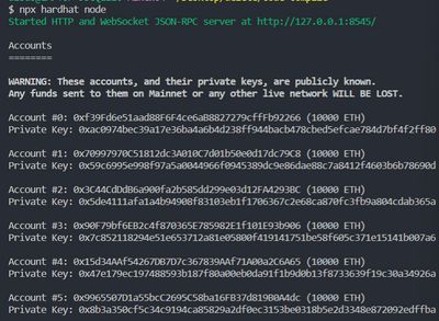 screenshot of the test accounts shown in terminal